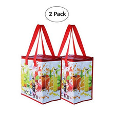 Load image into Gallery viewer, Earthwise Insulated Reusable Grocery Bag with Zipper Top Lid (Pack Of 2) [product_type] endbag endbag.myshopify.com [variant_title]
