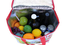 Load image into Gallery viewer, Earthwise Insulated Reusable Grocery Bag with Zipper Top Lid (Pack Of 2) [product_type] endbag endbag.myshopify.com [variant_title]
